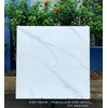 Gạch lát nền CMC 100x100 TTT PRO1004