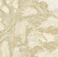 Gạch lát nền CMC 60x60 LX6670