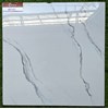 Gạch lát nền đá bóng kính giá rẻ Catalan 600x600 69061