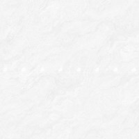Gạch lát nền Đồng Tâm 100DONGVAN001