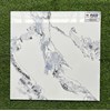 Gạch lát nền giá rẻ 600x600 ĐVT6589