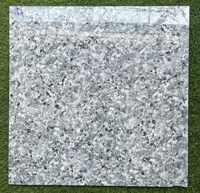 Gạch lát nền giá rẻ 60x60 6605 TQA
