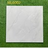 Gạch lát nền giá rẻ 60x60 ML6002
