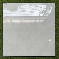 Gạch lát nền Grandcera Phương Nam 80x80 CLA8818