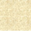 Gạch lát nền Mikado 80x80 CECO801