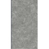 Gạch lát nền ốp tường Viglacera 60x120 GP61203