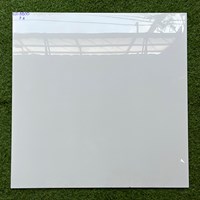 Gạch lát nền Phương Nam 80x80 ECO8800