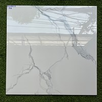 Gạch lát nền Phương Nam 80x80 ECO8811