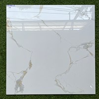 Gạch lát nền Phương Nam 80x80 ECO8812
