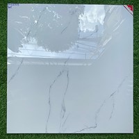 Gạch lát nền Prime 100x100 OV21003