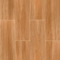 Gạch lát nền Prime 600x600 9118