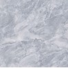Gạch lát nền Prime 600x600 9818