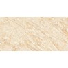 Gạch lát nền Prime 60x120 12307