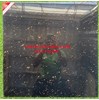 Gạch lát nền Prime 60x60 15658