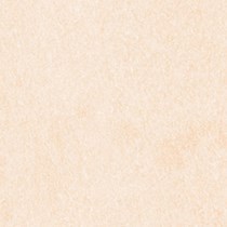 Gạch lát nền Prime 60x60 8403