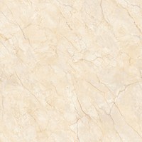 Gạch lát nền Prime 80x80 8741