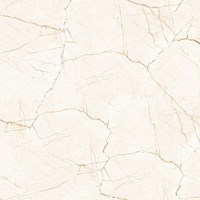 Gạch lát nền Prime 80x80 8744