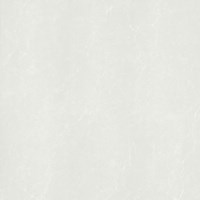 Gạch lát nền Taicera 60x60 H68312