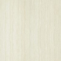 Gạch lát nền Taicera 60x60 P67202N