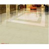 Gạch lát nền Taicera 60x60 P67418N