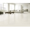 Gạch lát nền Taicera 60x60 P67625N