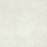 Gạch lát nền Taicera 60x60 P67663N