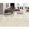 Gạch lát nền Taicera 60x60 P67703N