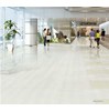 Gạch lát nền Taicera 60x60 P67763N