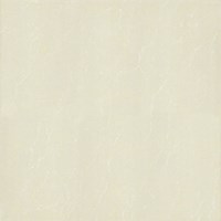 Gạch lát nền Taicera 60x60 P67763N