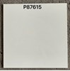 Gạch lát nền Taicera 80x80 2 da P87615