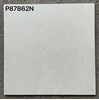 Gạch lát nền Taicera 80x80 2 da P87862N