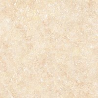 Gạch lát nền Takao 60x60 16108
