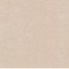 Gạch lát nền Takao 60x60 mờ 16307