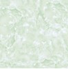Gạch lát nền Takao 80x80 18114