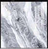 Gạch lát nền Tasa 100x100 1361