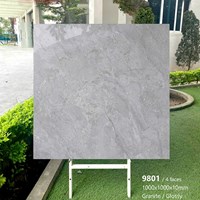Gạch lát nền Tasa 100x100 bóng 9801