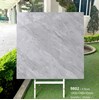 Gạch lát nền Tasa 100x100 bóng 9802