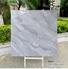 Gạch lát nền Tasa 100x100 bóng 9841