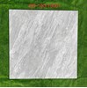 Gạch lát nền Tasa 100x100 bóng BD 19001