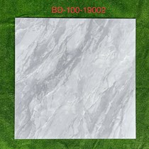 Gạch lát nền Tasa 100x100 bóng BD 19002
