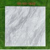 Gạch lát nền Tasa 100x100 bóng BD 19002