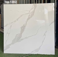 Gạch lát nền Tasa 100x100 TOP 1362