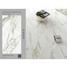 Gạch lát nền Tasa 60x120 TBR60120-1442