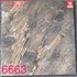 Gạch lát nền Tasa 60x60 6663