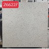 Gạch lát nền Terrazzo Trung Quốc 60x60 Z66227