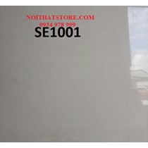 Gạch lát nền Trung Quốc 100x100 SE1001