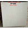 Gạch lát nền Trung Quốc 100x100 TP1000