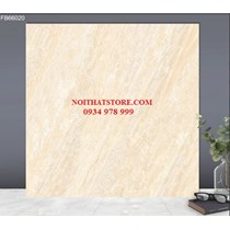 Gạch lát nền TTC 60x60 FB66020