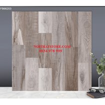 Gạch lát nền TTC 60x60 FB66203