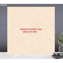 Gạch lát nền TTC 60x60 FM66004